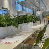 燕麦地球🌍都给我冲