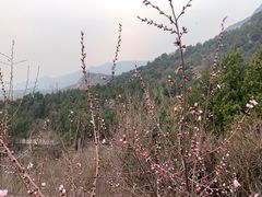 -北京凤凰岭