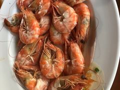 -绿光森林餐厅
