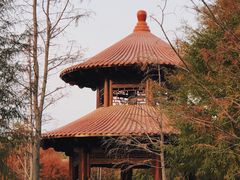 -五缘湾湿地公园