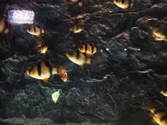 -苏州海洋馆