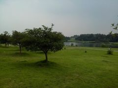 android_upload_pic-钟山体育运动公园