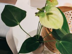 -眉州东坡(清河万象汇店)