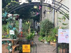 -more than meow吴止猫主题餐厅(承德 中船汇店)