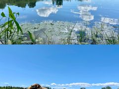 -东郊湿地公园