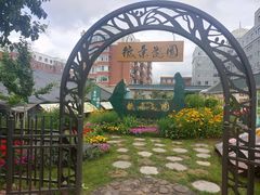 -长春公园(普阳街道)