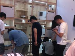 -山宅一喵德文卷毛猫舍