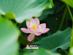 -重元寺