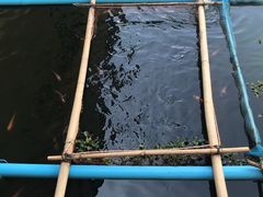 -水都餐厅