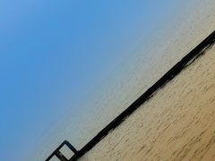 -贡湖湾湿地公园