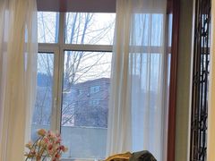 -南山鲜虾面·活鲜小馆·海味大连菜(南山总店)