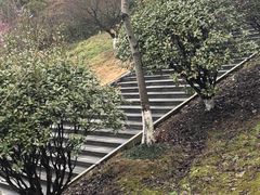 -金钉子远古世界景区