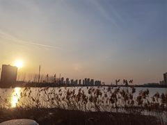 -江苏省泗阳县成子湖旅游度假区综合服务中心-停车场