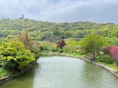 -苏州上方山国家森林公园