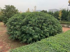 -南京理工大学紫金学院