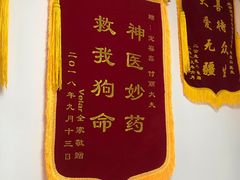 -宠福鑫动物医院(城北分院)