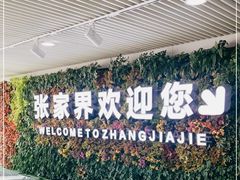 -张家界荷花国际机场