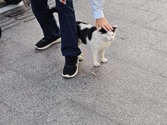 -重庆麻辣烫(国权路店)