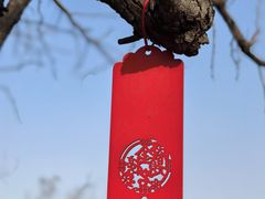 -穹窿山景区