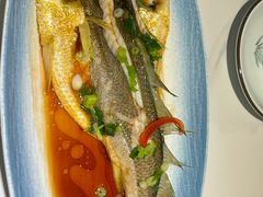 -33号大院·青岛本帮菜(五四广场店)