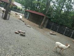 -无锡动物园·太湖欢乐园