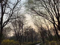 -森林公园(尖草坪区)