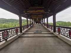 -长广溪湿地公园