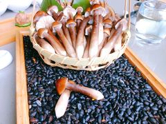 黑鸡枞菌-享月汤皇·海鲜小火锅·聚会(曲江创意谷店)