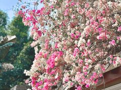 -深圳国际园林花卉博览园