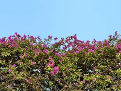 -番禺广场(市桥街道)