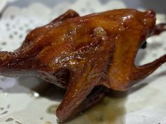 -石岐乳鸽村(南海第三分店)