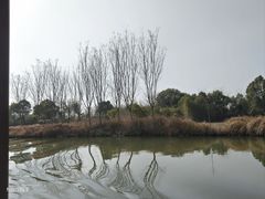 -西溪国家湿地公园