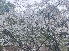 -中国茶叶博物馆(双峰馆区)