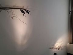 android_upload_pic-天厨妙香素食餐厅(清华店)