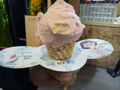 草莓-野人先生现做冰淇淋(西安赛格店)