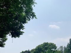 -苏州上方山国家森林公园