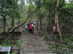 -紫金山天文台