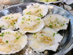 蒜蓉粉丝蒸马贝-飞尝蚝·顺德菜·鱼生(顺德总店)