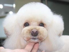 -爱派特动物医院·全科诊疗中心