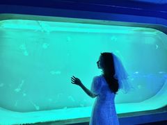 -左海海底世界
