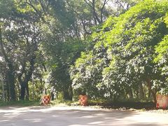 -平湖九龙山旅游度假区