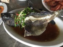 石斑鱼清蒸-四川小胡子海鲜(丁村万人海鲜广场店)