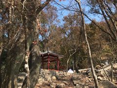 -广州市石门国家森林公园