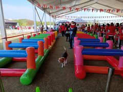 -上海月湖雕塑公园