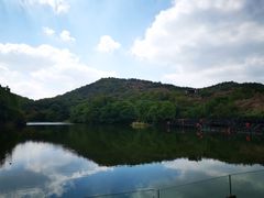 -白马涧龙池景区