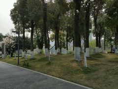 -百林公园-两江幸福广场