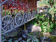 -莫里热带雨林景区