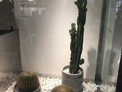 -喜茶(深圳东门1234店)