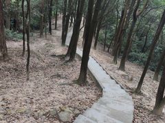 -火炉山森林公园