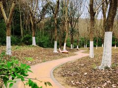 -南山风景名胜区